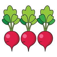 Three red radishes with leaves on them vector