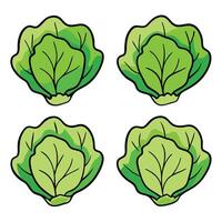 A set of four green cabbage leaves vector