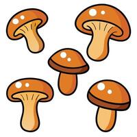 Cartoon mushrooms white background vector