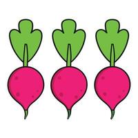 Three radishes are shown in a row vector
