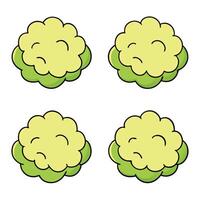 A set of four cartoon cabbage heads vector
