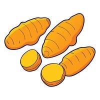 A cartoon illustration of a carrot vector