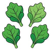A set of four green leaves on a white background vector