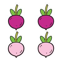 Four different colored radishes are shown in a row vector