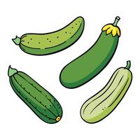 Cucumbers illustration white background vector