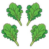 A set of four green leaves on a white background vector