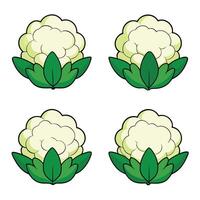 Cauliflower clipart - clipart vector
