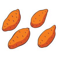 Four sweet potatoes are shown on a white background vector