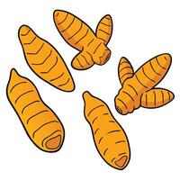 A group of carrots on a white background vector
