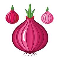 An onion and two other onions are shown vector