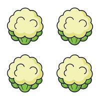 A set of four cauliflower icons vector
