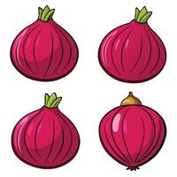 Red onion white background vector