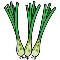 Three green onions on a white background vector