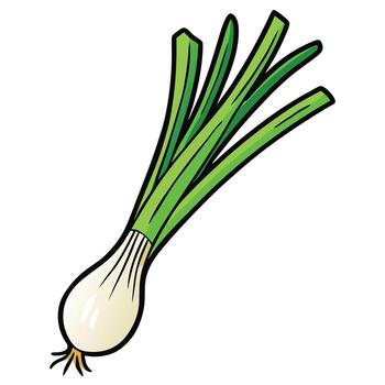 un cebolla es mostrado en un blanco antecedentes vector