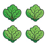 Four leaf lettuce icons on a white background vector