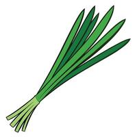 A bunch of green onions on a white background vector