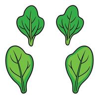 A set of four green leaves on a white background vector