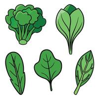 A set of green vegetables on a white background vector