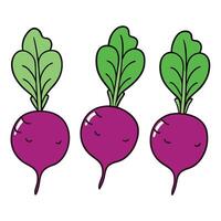 Three purple beets with green leaves vector