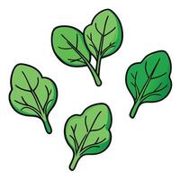 A group of spinach leaves on a white background vector
