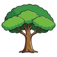 A cartoon tree with green leaves on a white background vector