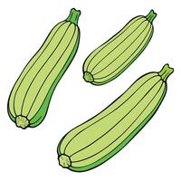 Three zucchini on a white background vector