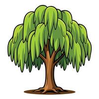 A cartoon willow tree on a white background vector