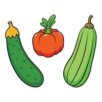 A cucumber, pepper and squash are shown in this illustration vector