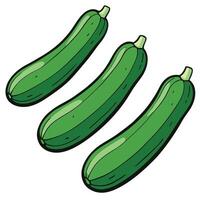 Three cucumbers on a white background vector