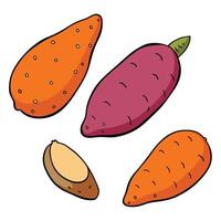 A set of carrots, one with a seed and one with a seed vector