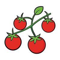 Tomatoes on a branch illustration vector