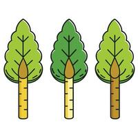 Three different types of trees with leaves vector