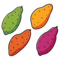 A set of four different colored fruits on a white background vector