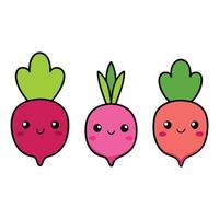 Three different types of radishes are shown vector