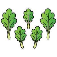 A group of green leaves on a white background vector
