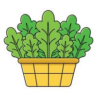 A basket full of kale leaves on a white background vector