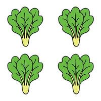 A set of four green leaves with one in the middle vector
