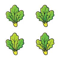 A set of four leaves of green vegetables vector