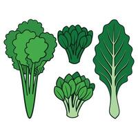 A set of four different types of vegetables vector