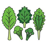 A set of vegetables including broccoli, cabbage, and kale vector