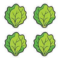 A set of four leafy green vegetables on a white background vector