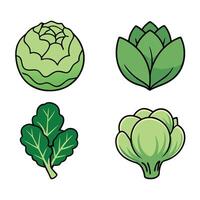 A set of four different types of vegetables vector