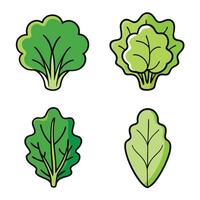 A set of four different types of leafy vegetables vector