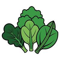 A group of green vegetables on a white background vector