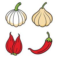 Various types of garlic and chili peppers vector