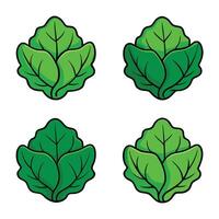 Four different types of green leafy vegetables vector