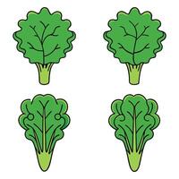 A set of four green vegetables, including broccoli, cabbage and kale vector