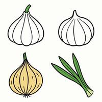A set of four garlic bulbs and one onion vector