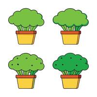 Four broccoli plants in pots on a white background vector
