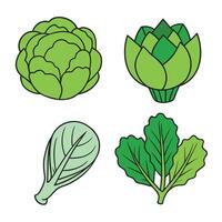 Artichokes, broccoli, cabbage, and other vegetables vector